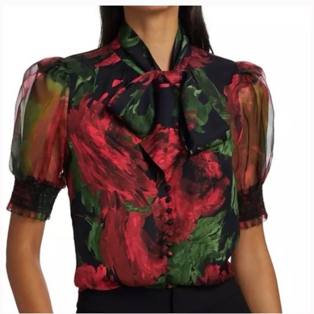 Alice and Olivia blouse